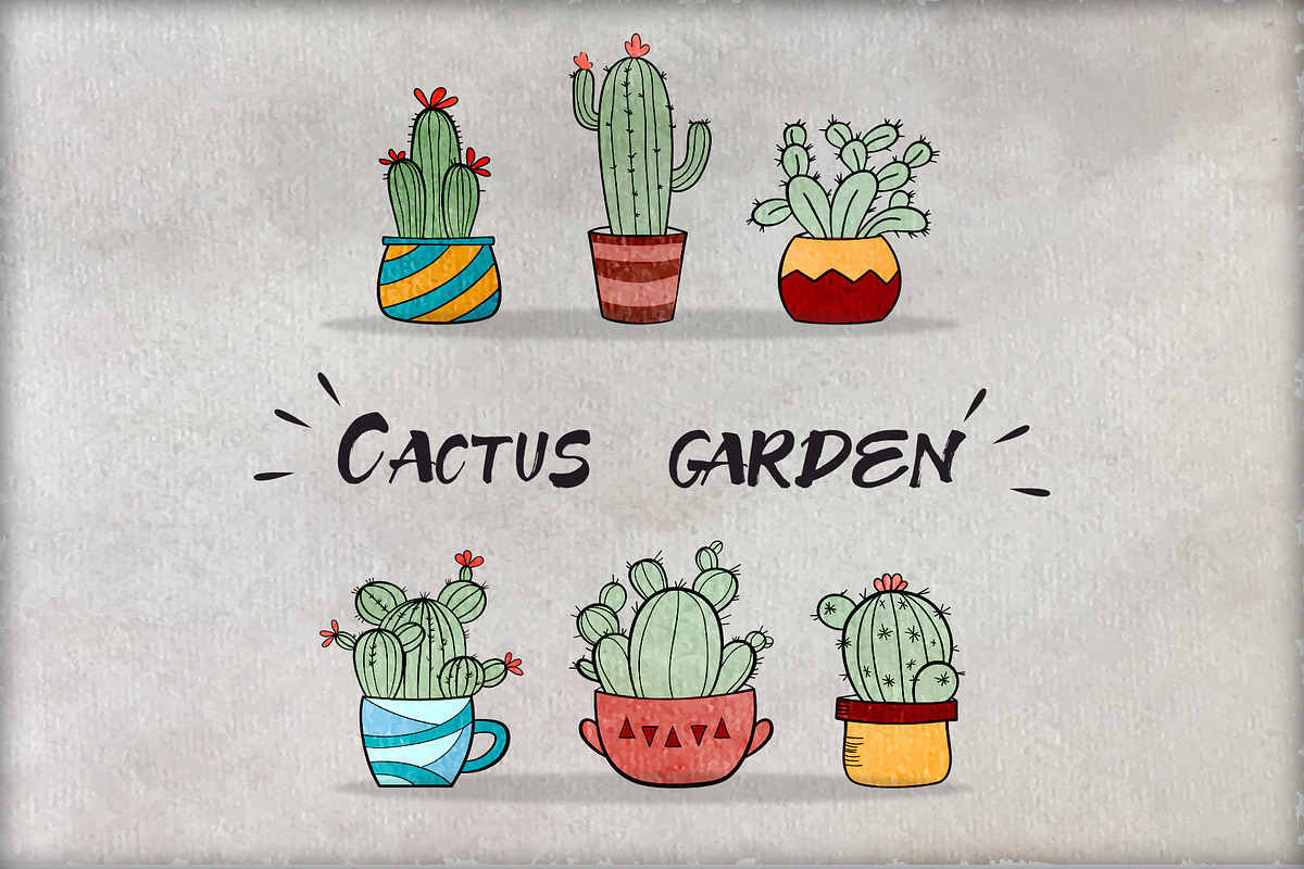 Cacti  in Illustrations - product preview 8