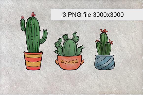 Cacti  in Illustrations - product preview 1