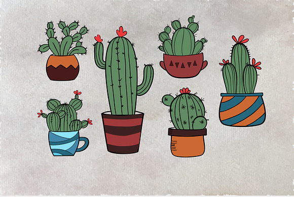 Cacti  in Illustrations - product preview 3