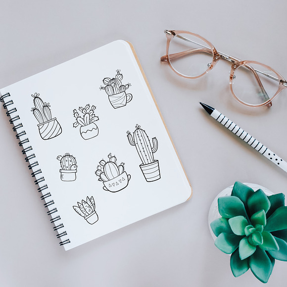 Cacti  in Illustrations - product preview 4