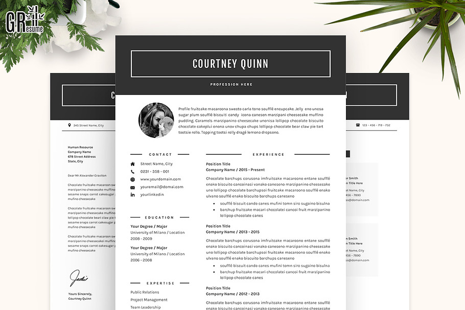  3 Page Professional Resume template