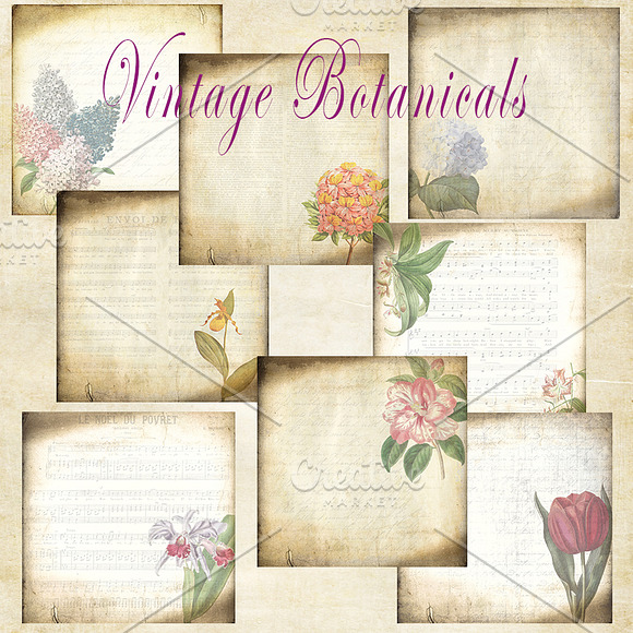 Vintage Botanical Background Papers in Textures - product preview 1