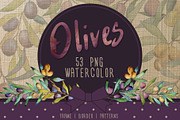 Olive tree PNG watercolor set