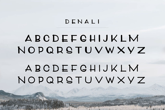 Denali Font, Illustrations, & Logos! in Display Fonts - product preview 1