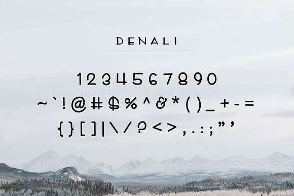 Denali Font, Illustrations, & Logos! in Display Fonts - product preview 2