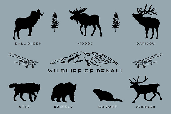 Denali Font, Illustrations, & Logos! in Display Fonts - product preview 3