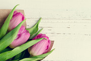 Bouquet of tulips on white shabby chic background