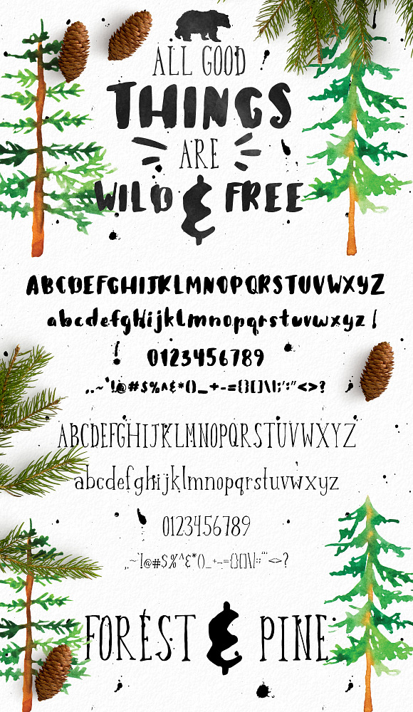 Forest & Pine Textured Font Bundle in Script Fonts - product preview 1