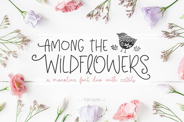 Among The Wildflowers | Font Duo