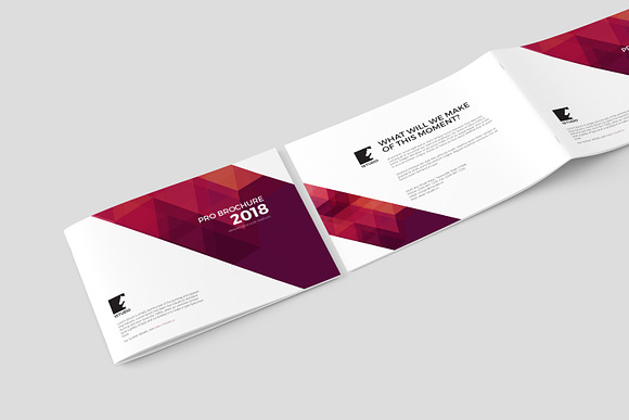 Catty Multipurpose Brochure in Brochure Templates - product preview 2