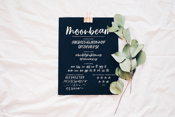 Moonbeam in Script Fonts - product preview 1
