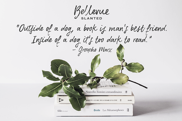 Bellevue brush font and textures in Script Fonts - product preview 6