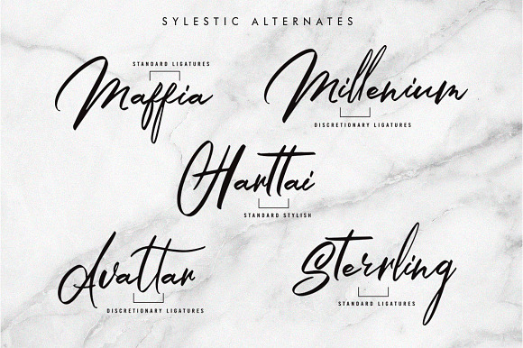 Macquina in Script Fonts - product preview 4