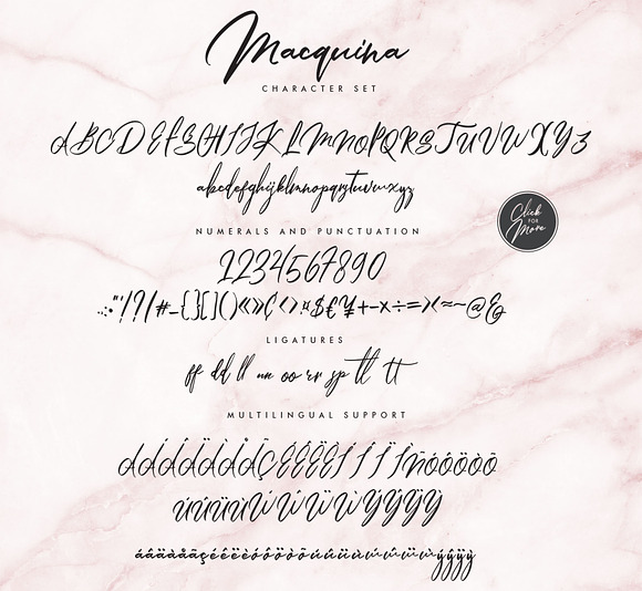 Macquina in Script Fonts - product preview 9