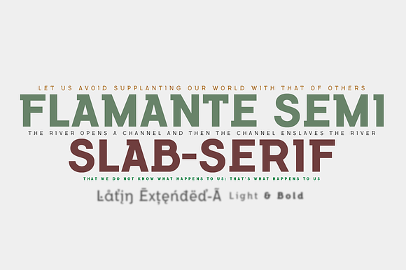 Flamante SemiSlab Light & Bold in Slab Serif Fonts - product preview 2