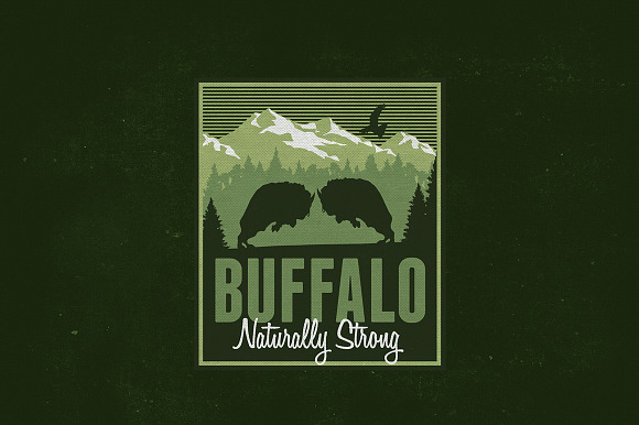 Buffalo Logo Template in Logo Templates - product preview 1