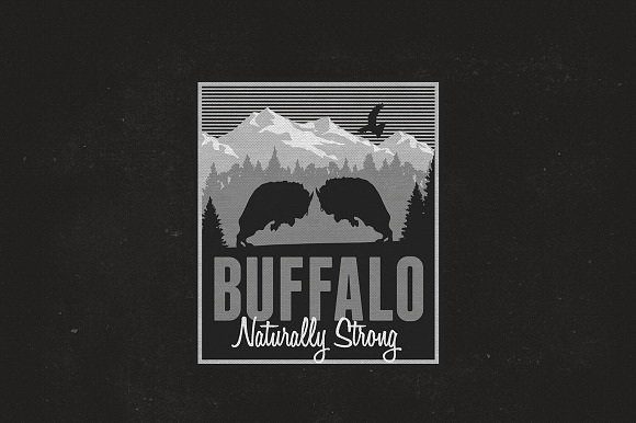 Buffalo Logo Template in Logo Templates - product preview 3