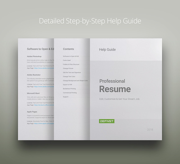 Professional Resume 1 V.HG in Letter Templates - product preview 6