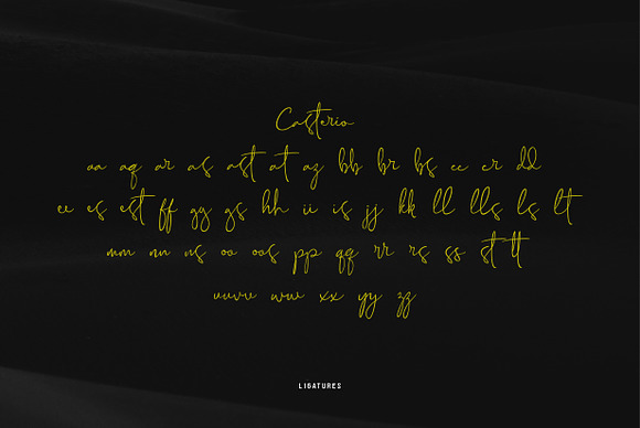 Casterio Signature Font in Signature Fonts - product preview 5