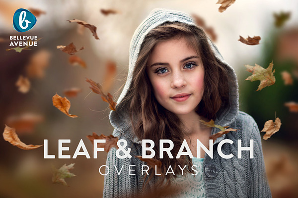 Leaf & Branch Overlays (Real)