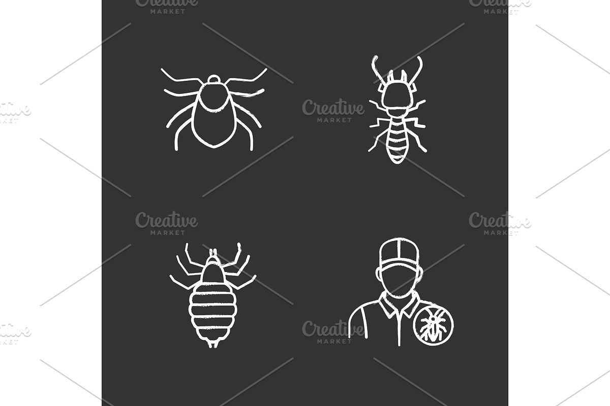 Pest control chalk icons set in Graphics - product preview 8