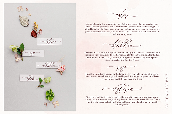 Floral Hearts-Luxury Script Font in Love Fonts - product preview 7