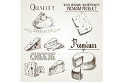 Hand drawn doodle sketch cheese with different premium quality types of cheeses in retro style stylized 