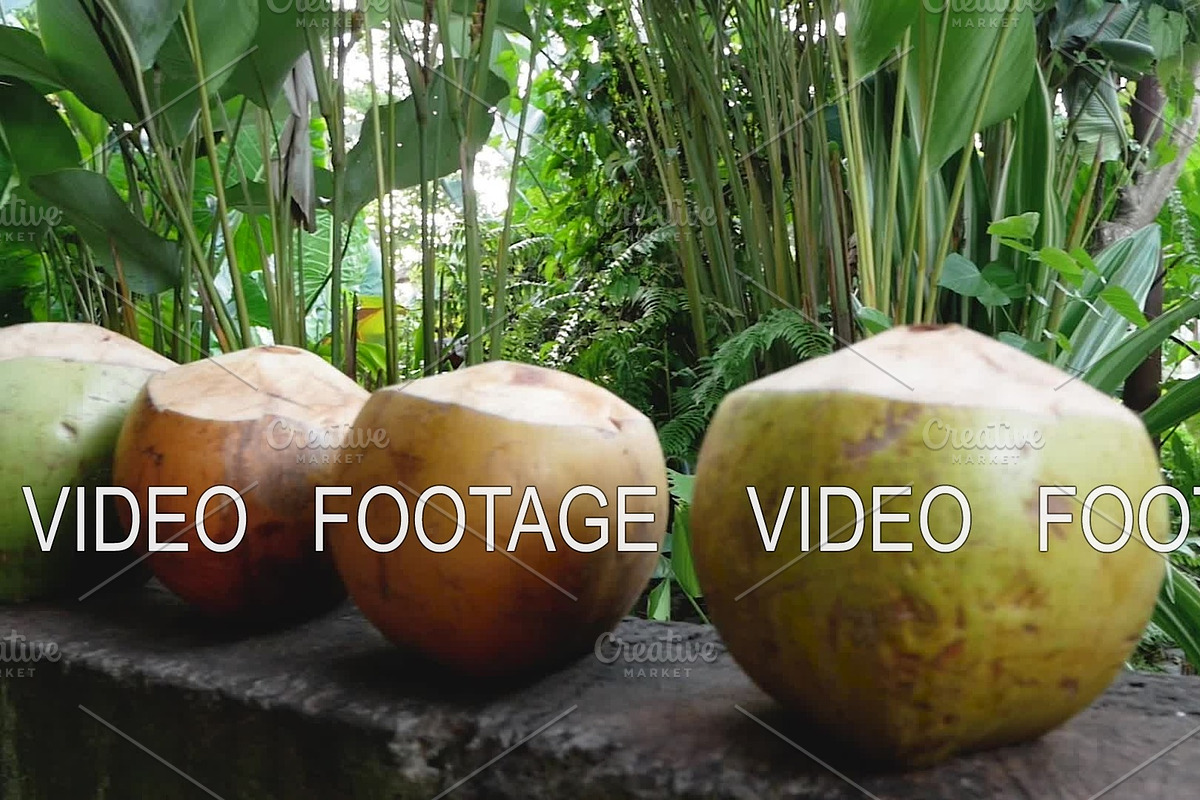 Close-up view of a coconut in Graphics - product preview 8