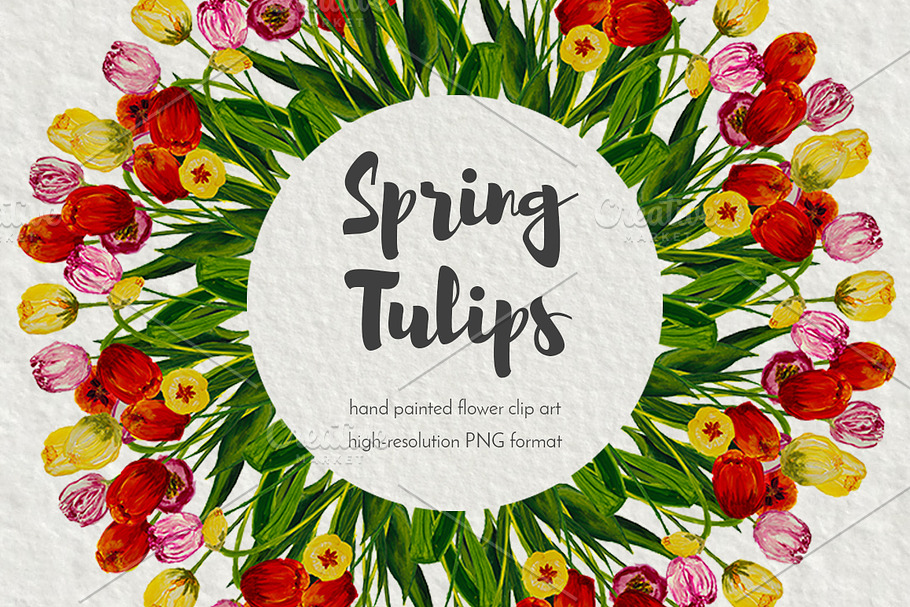 Spring tulips