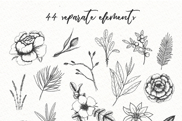 Botanical illustrations pack