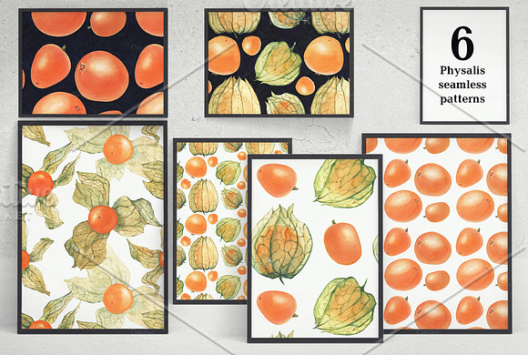 Physalis. Botanical Watercolor in Illustrations - product preview 1