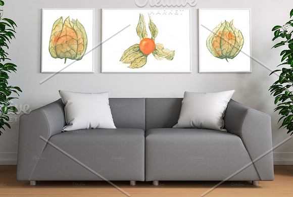 Physalis. Botanical Watercolor in Illustrations - product preview 2
