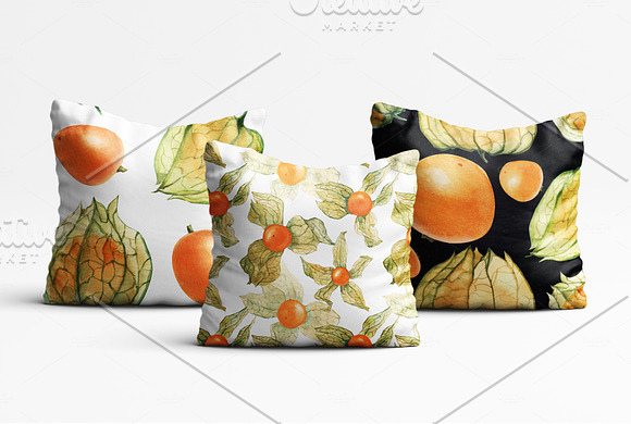 Physalis. Botanical Watercolor in Illustrations - product preview 4