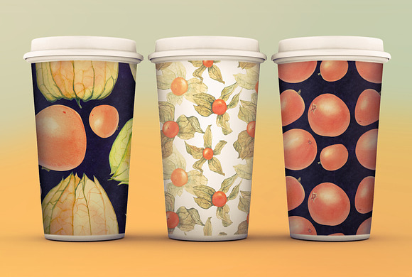 Physalis. Botanical Watercolor in Illustrations - product preview 5