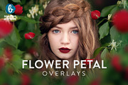 Flower Petal Overlays (Real)