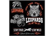 Labels, emblems and design elements for sport club with leopard.