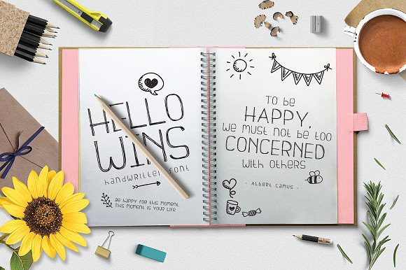 Hellowins  in Display Fonts - product preview 3