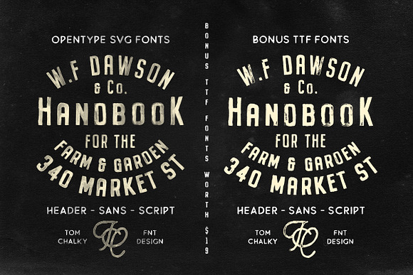 Buckwheat Opentype SVG Fonts in Custom Fonts - product preview 5