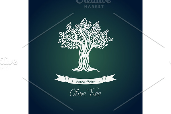 Leaf on branches of olive oil tree vector drawing