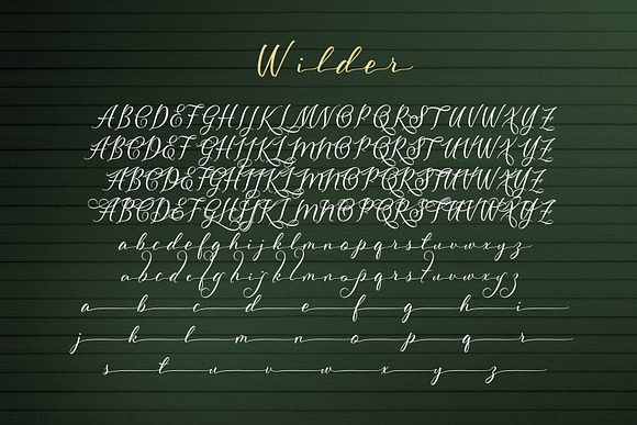 Wilder in Script Fonts - product preview 1