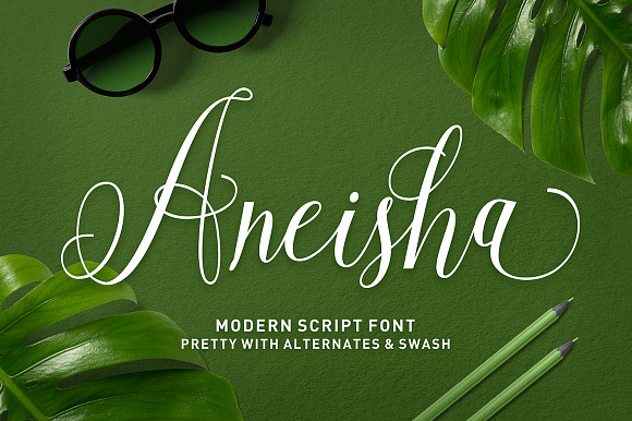 Aneisha Script in Script Fonts - product preview 8