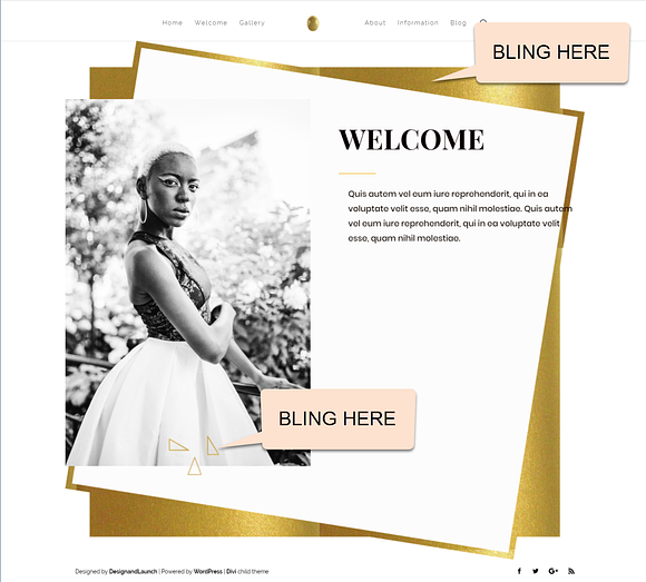 Bling Your Web- Gold Collection Divi in Website Templates - product preview 2