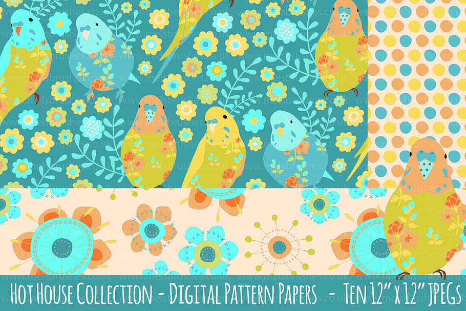 Hot House Pattern Background Papers in Patterns - product preview 8