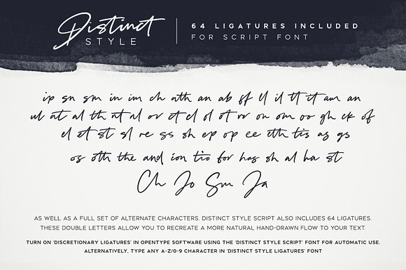 Distinct Style Font Duo in Display Fonts - product preview 6