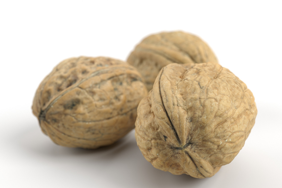 3 Different Photorealistic Walnuts in Food - product preview 8