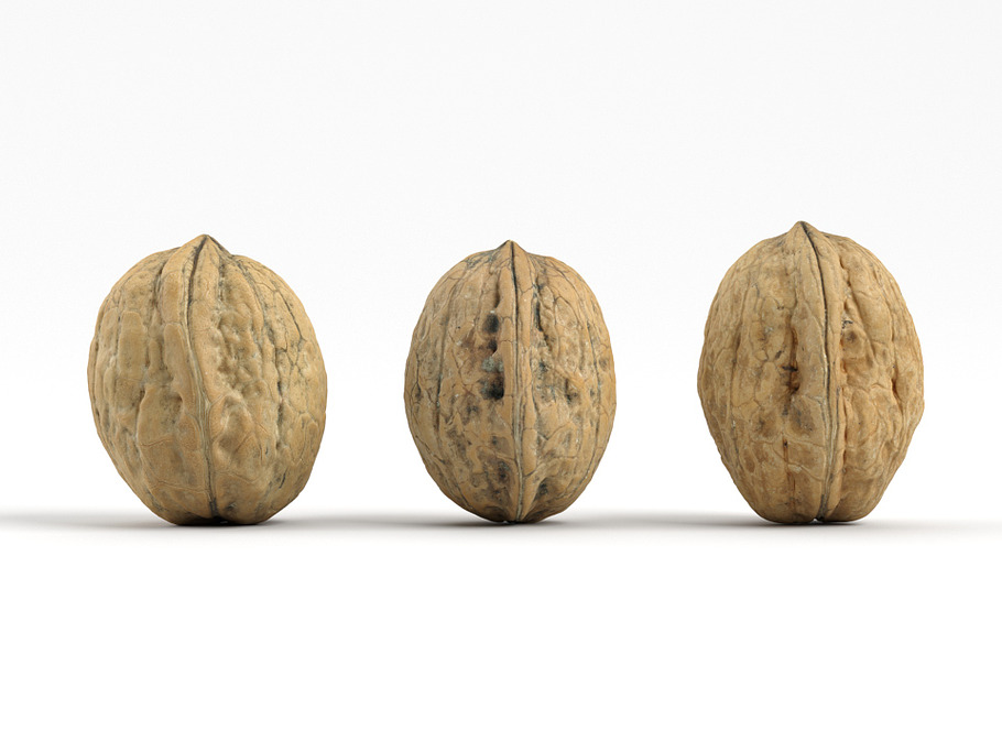 3 Different Photorealistic Walnuts in Food - product preview 3