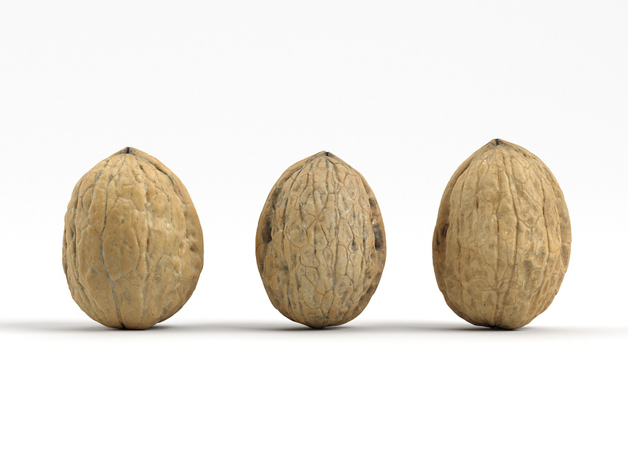 3 Different Photorealistic Walnuts in Food - product preview 4