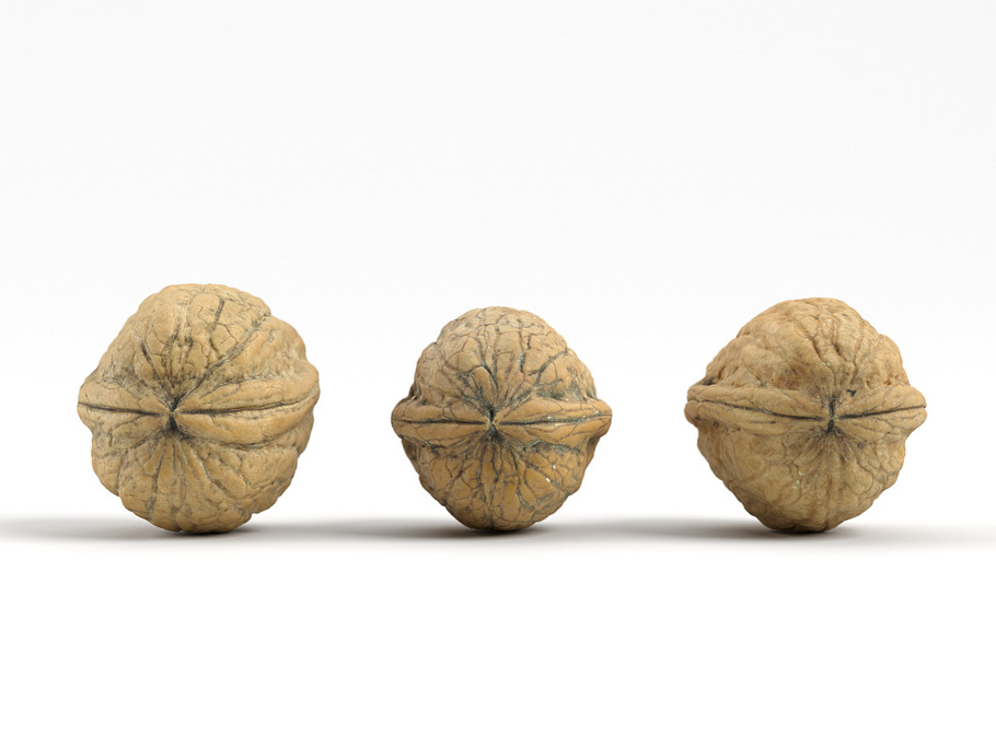 3 Different Photorealistic Walnuts in Food - product preview 6