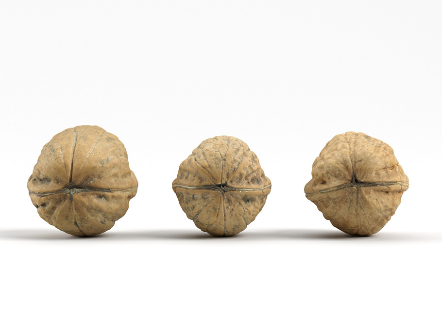 3 Different Photorealistic Walnuts in Food - product preview 7