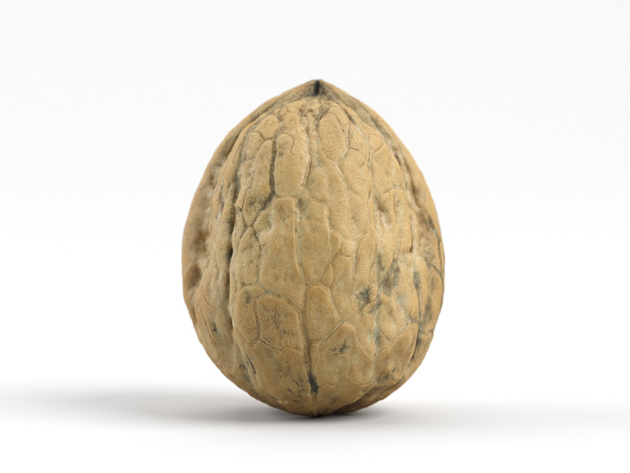 Photorealistic Walnut 01 in Food - product preview 1